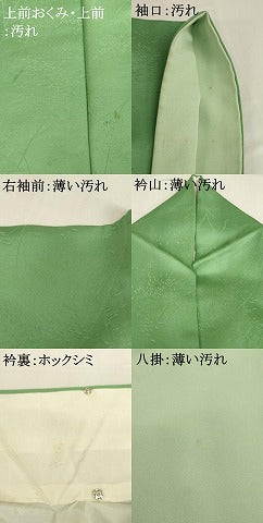 平和屋着物■上質な色無地 草木地紋 浅緑色 正絹 逸品 AABH2757ja