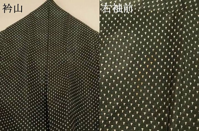 平和屋着物*夏物 小紋 絽 蚊絣文様 洗える着物 AABH3221jd
