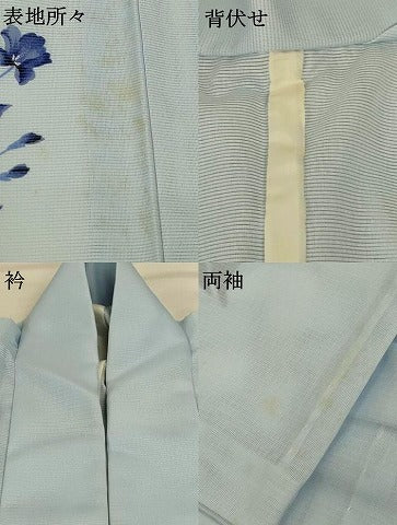 平和屋着物*夏物 訪問着 絽 花鳥文 洗える着物 AABH3257jd