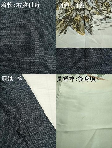 平和屋着物●男性 本場大島紬 アンサンブル 長襦袢(袷)セット 亀甲絣 正絹 逸品 AABH3296ck