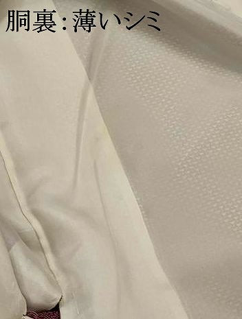 平和屋着物■江戸小紋 寄せ小紋柄 正絹 逸品 AABH3387st