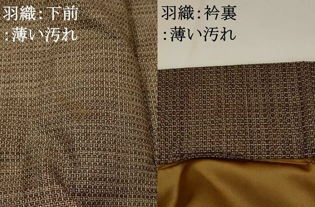 平和屋着物■男性 本場大島紬 アンサンブル 100亀甲 正絹 逸品 AABH3424st