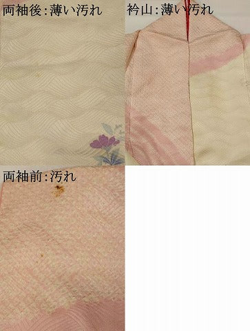 平和屋着物■訪問着 絞り 孔雀花文 銀彩 正絹 逸品 AABH3511st