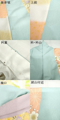 平和屋着物●洗える最高級着物 <英>はなぶさ謹製 訪問着 花丸文 洗える着物 AABH3748cs