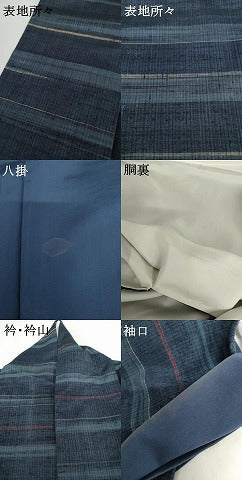 平和屋着物●郡上紬 草木染 横段文 正絹 逸品 AABH3752cs