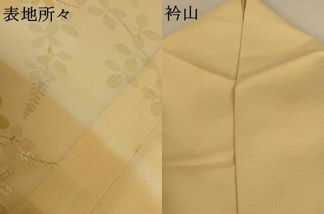 平和屋着物*夏物 訪問着 絽 萩文 正絹 逸品 AABH3971jd