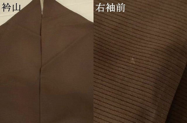 平和屋着物*夏物 訪問着 絽 短冊草花文 金銀彩 正絹 逸品 AABH3974jd