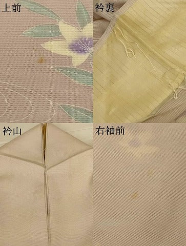 平和屋着物*夏物 訪問着 絽 流水草花文 暈し染め 正絹 逸品 AABH4014jd