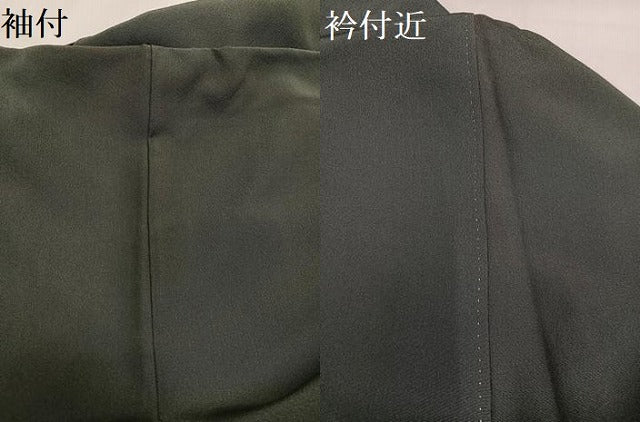 平和屋着物●京加賀友禅 松本健一 色留袖 群れ鳥草花丸文 金彩 正絹 逸品 AABH4199ph