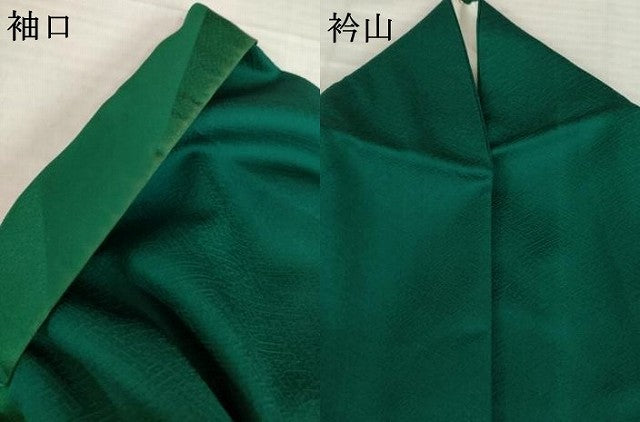 平和屋着物●染色作家 斉藤三才 振袖 花鳥文 寿光織 正絹 逸品 AABH4272ck