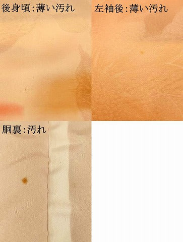 平和屋着物■上質な小紋 草花 霞 暈し染め 正絹 逸品 AABH4422fw