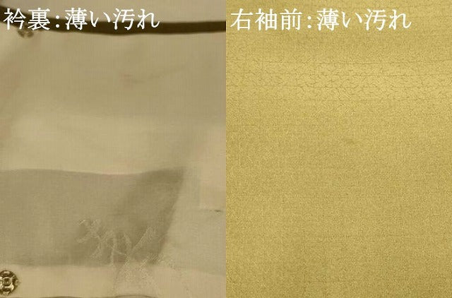平和屋着物■色留訪問着 能 暈し染め 金彩 正絹 逸品 AABH4502fw