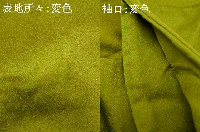 平和屋着物■訪問着 枝花文 暈し染め 銀彩 正絹 逸品 AABH4517fw