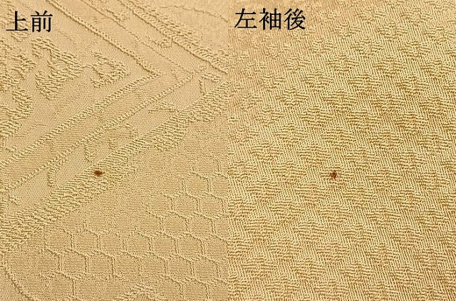 平和屋着物●上質な色無地 雲取り花菱地紋 蜂蜜色 正絹 逸品 AABH4644fy