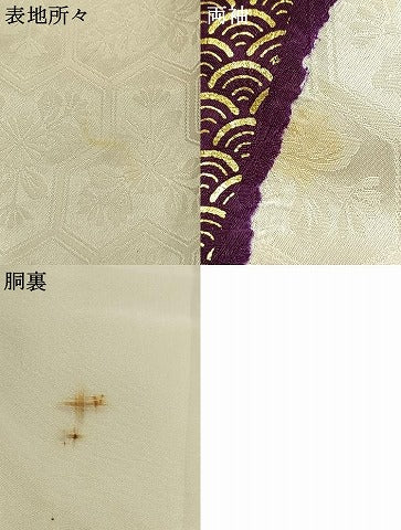 平和屋着物●豪華振袖 絞り 舞花文 金彩 正絹 逸品 AABH4723fy