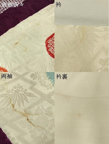 平和屋着物●豪華振袖 絞り 舞花文 正絹 逸品 AABH4811fy