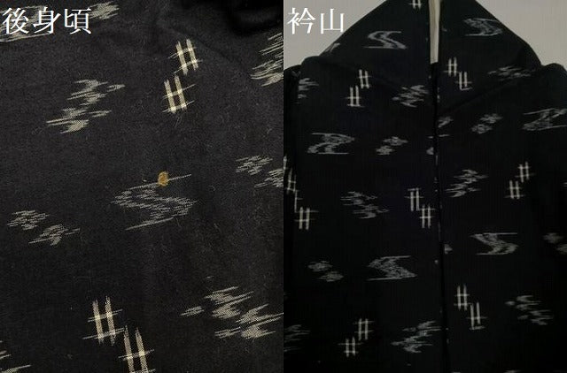 平和屋着物●本場琉球絣 綿琉球 単衣 綿 逸品 AABH5359ph