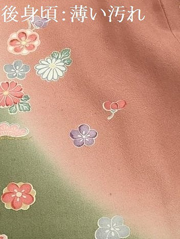 平和屋着物■上質な小紋 舞花文 暈し染め 金彩 やまと誂製 正絹 逸品 AABH5991sx