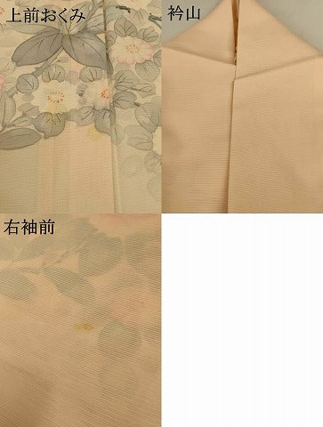 平和屋着物*夏物 訪問着 絽 手描き 草花文 正絹 逸品 AABH6420jd