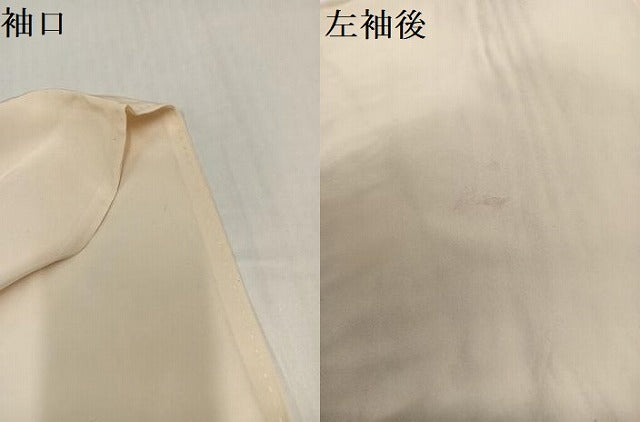 平和屋着物●長襦袢 無双仕立て 手描き 草花文 半衿刺繍 正絹 逸品 AABH6843ph
