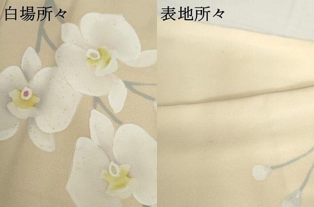 平和屋着物●訪問着 手描き 胡蝶蘭 暈し染め ロング丈 正絹 逸品 AABH7126cs
