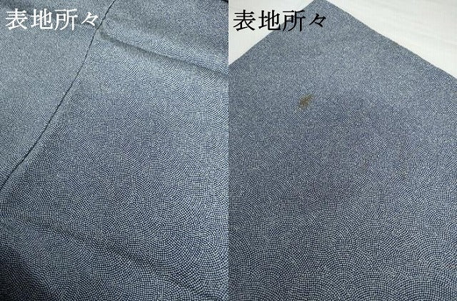 平和屋着物●江戸小紋 鮫小紋柄 ロング丈 正絹 逸品 AABH7197cs