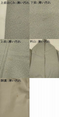 平和屋着物■上質な小紋 草花づくし 正絹 逸品 AABH7351st