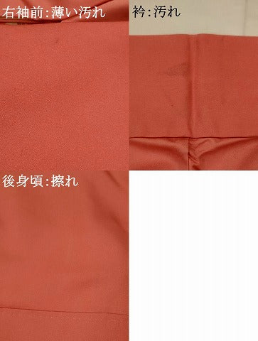 平和屋着物■訪問着 枝花文 正絹 逸品 AABH7407st
