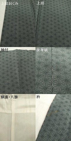 平和屋着物●江戸小紋 麻の葉文様 正絹 逸品 AABH8473ck