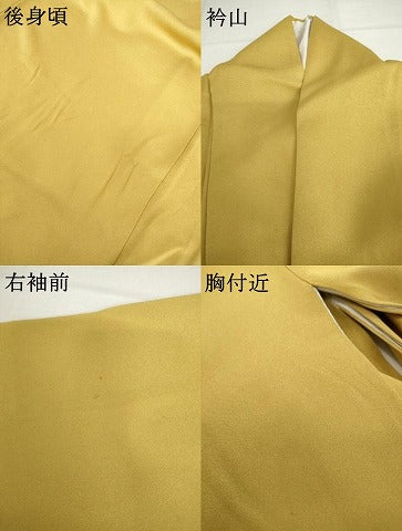 平和屋着物●豪華色留袖 正倉院花唐草文 金銀彩 正絹 逸品 AABH8859cs