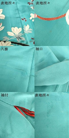 平和屋着物●アンティーク 大正ロマン 色留袖 友禅 飾花花車文 金彩 正絹 逸品 AABH8888cs
