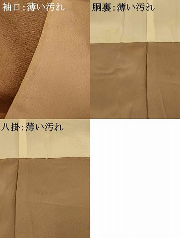 平和屋着物■訪問着 草花文 金彩 正絹 逸品 AABH9016fw