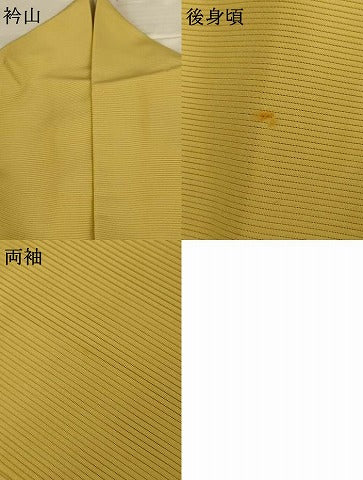 平和屋着物*夏物 色無地 絽 木蘭色 正絹 逸品 AABH9480jd