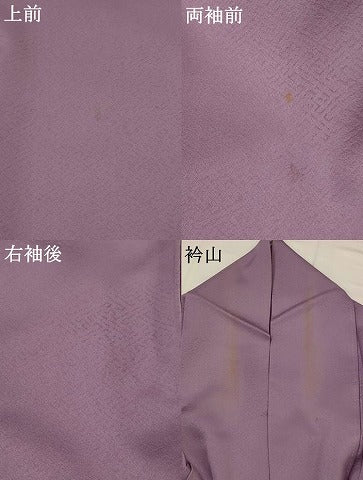 平和屋着物▽上質な色無地 単衣 紋意匠 竜胆色 正絹 逸品 AABI0126st