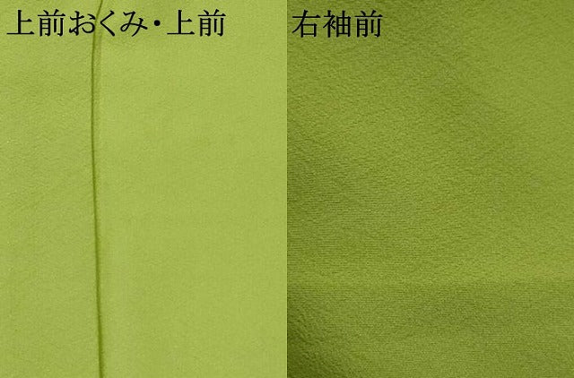 平和屋着物▽上質な色無地 単衣 紋意匠 青丹色 正絹 逸品 AABI0164st