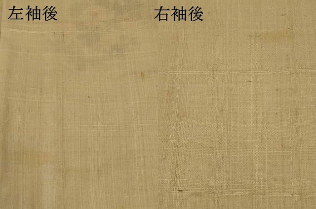 平和屋着物▽訪問着 単衣 生紬 草花文 正絹 逸品 AABI0227st