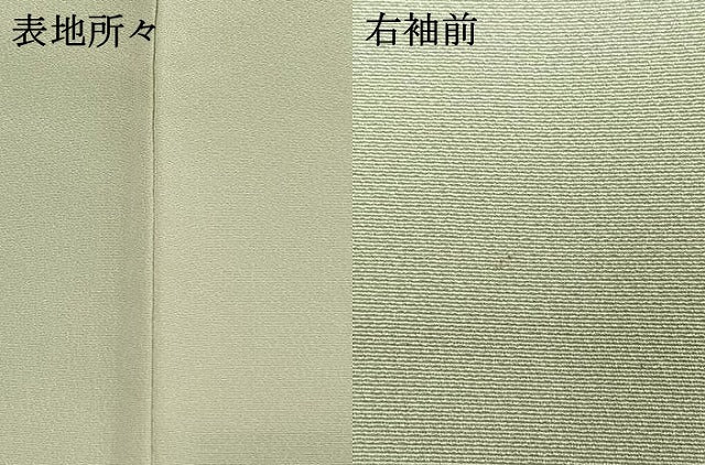 平和屋着物●訪問着 友禅 作家物 枝花文 暈し染め 正絹 逸品 AABI1309fy