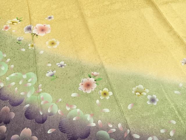 平和屋着物●豪華振袖 舞花文 暈し染め 正絹 逸品 AABI1448fy