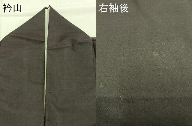 平和屋着物●本場大島紬 訪問着 鴛鴦文 正絹 逸品 AABI1968fy