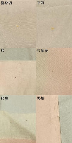 平和屋着物●長襦袢 無双仕立て 手描き 草花文 暈し染め 正絹 逸品 AABI1994fy
