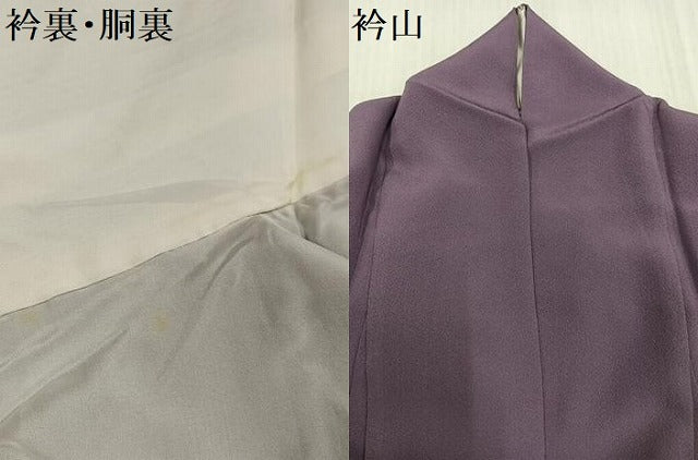 平和屋着物●本草木染作家 瑞鳳 色無地 葡萄鼠色 正絹 逸品 AABI3046ph