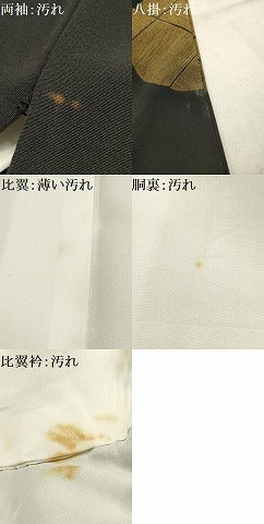平和屋着物■中国三大刺繍 相良刺繍 黒留袖 枯山水 暈し染め 金糸 金彩 正絹 逸品 AABI4063sx