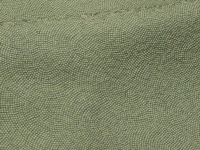 平和屋着物■伝統工芸師 服部光擴 江戸小紋 鮫小紋柄 正絹 逸品 AABI4268sx