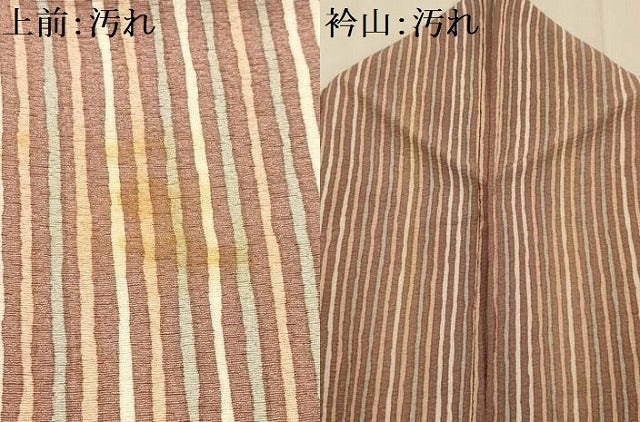 平和屋着物■上質な小紋 間道 鬼しぼ縮緬 正絹 逸品 AABI4279sx