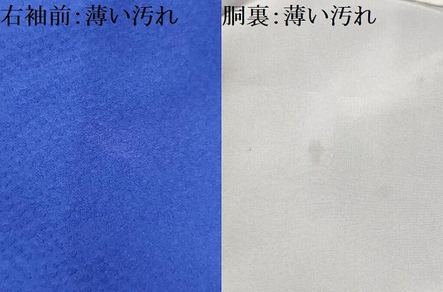平和屋着物■訪問着 孔雀文 暈し染め 正絹 逸品 AABI4283sx