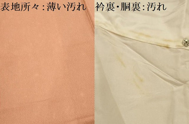 平和屋着物■江戸小紋 万筋 雄黄色×纁色 正絹 逸品 未使用 AABI4303sx