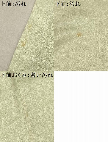 平和屋着物■訪問着 刺繍 菊桐文 金糸 金彩 正絹 逸品 AABI4331sx