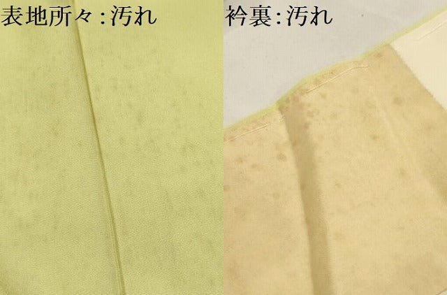 平和屋着物■訪問着 手描き 草花文 暈し染め 金彩 正絹 逸品 AABI4355sx