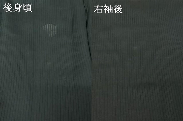 平和屋着物▽男性 黒紋付 長羽織 スリーシーズン 春夏秋 塵除け 暗黒色 黒地 正絹 逸品 AABI4589jh