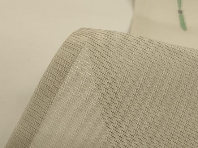 平和屋着物*夏物 男性 訪問着 絽 勝虫 暈し染め キングサイズ 正絹 逸品 AABI4686jd